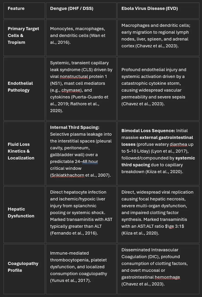 Comparison table of dengue and Ebola virus disease across target cells, endothelial pathology, fluid loss kinetics, hepatic dysfunction and coagulopathy profile.